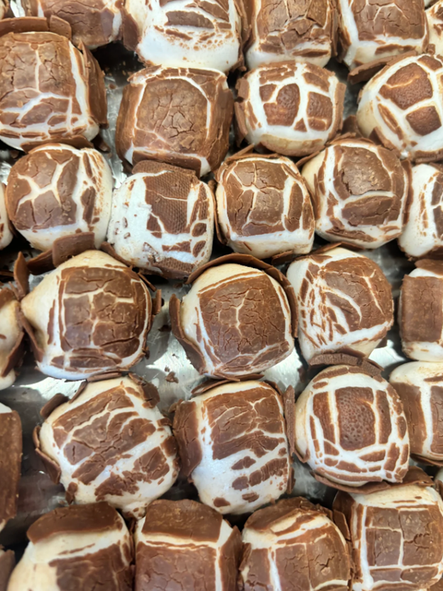 Freeze Dried Chocolate Pillows (charleston chews)