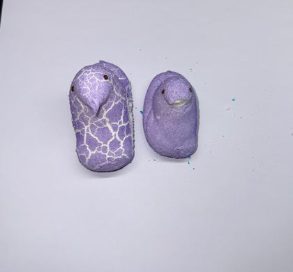 Freeze Dried Marshmallow Chicks